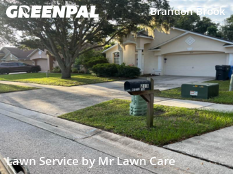 Yard Cutting nearby Valrico, FL, 