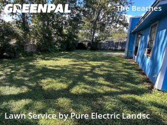 Grass Cuttingin Jacksonville Beach,32250,Lawn Mow by Pure Electric Landsc, work completed in Dec , 2025