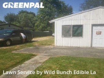 Lawn Mow nearby Tacoma, WA, 