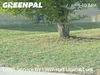 Grass Cut nearby Converse, TX, 