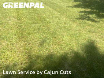 Yard Cutting nearby Murfreesboro, TN, 