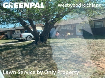 Lawn Mow nearby Abilene, TX, 