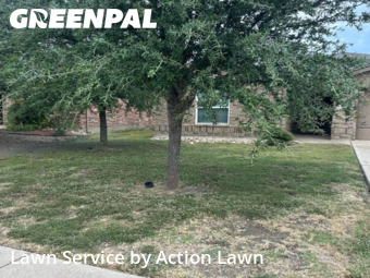 Lawn Care nearby Forney, TX, 