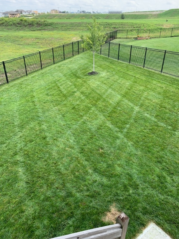 Yard Ninjas Omaha Lawn Care Services in Omaha, NE