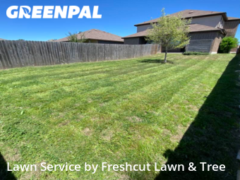 Yard Mowing nearby New Braunfels, TX, 