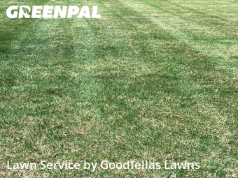 Lawn Care Service nearby Omaha, NE, 