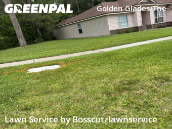 Lawn Cutting nearby Jacksonville, FL, 