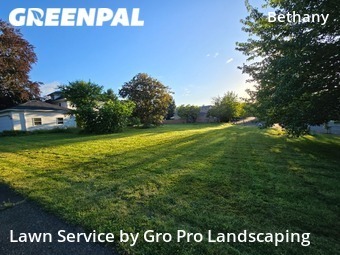 Grass Cutting nearby Portland, OR, 