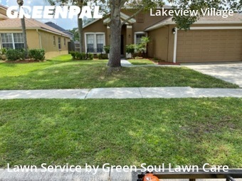 Lawn Maintenance nearby Brandon, FL, 