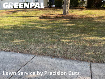Grass Cutting nearby Concord, NC, 
