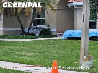 Lawn Carein Plantation,33322,Lawn Cut by Deluxe Services By A, work completed in Jun , 2026