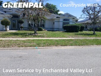 Lawn Mow nearby Port Orange, FL, 