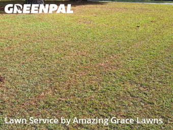 Yard Cuttingin Lawrenceville,30046,Yard Mowing by Amazing Grace Lawns, work completed in Dec , 2025