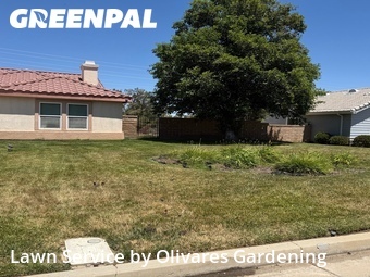 Lawn mowing work completed in Palmdale, CA