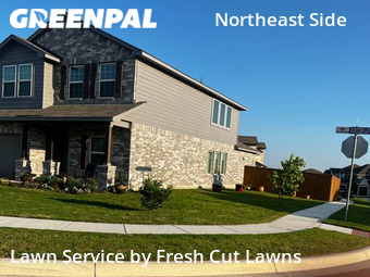 Grass Cut nearby Converse, TX, 