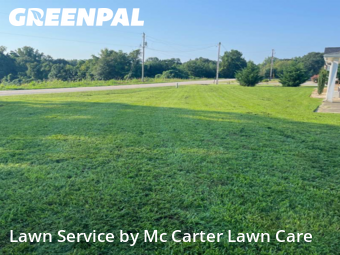 Lawn Mowing nearby Campobello, SC, 