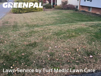 Grass Cut nearby Cave Spring, VA, 