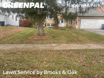 Lawn Mowing Service nearby Naperville, IL, 