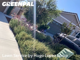 Lawn mowing work completed in Menifee, CA