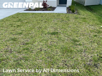 Lawn Care nearby Wesley Chapel, FL, 