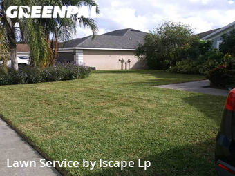 Lawn Mow nearby Lakeland, FL, 