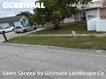 Lawn Cut nearby Brandon, FL, 
