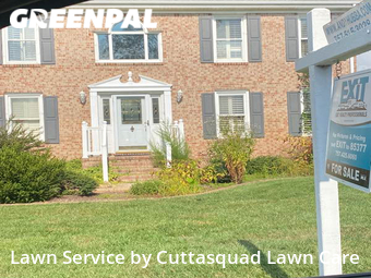 Lawn Cut nearby Chesapeake, VA, 
