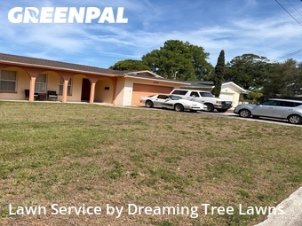 Grass Cutting nearby St. Petersburg, FL, 