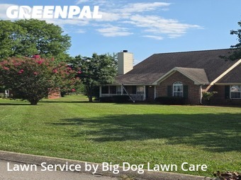 Lawn Mow nearby Smyrna, TN, 