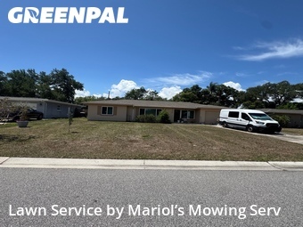 Lawn Cut nearby Clearwater, FL, 