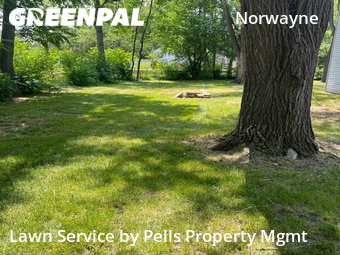 Lawn Cutting nearby Westland, MI, 