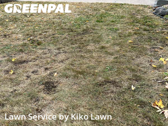 Lawn Care Service nearby Minneapolis, MN, 