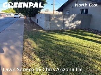 Affordable Landscaping Maintenance Services In Phoenix,85008,Landscape Design by Chris Arizona Llc, work completed in Jun , 2026