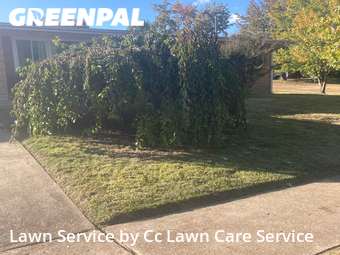 Lawn Care nearby Overland, MO, 