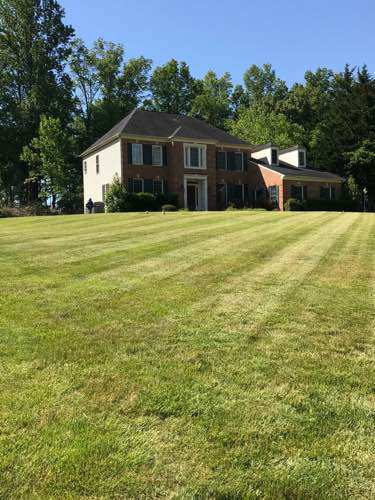 Lawn Mowing Contractor in Annapolis, MD, 21403