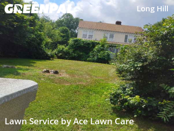 Yard Management in Trumbull, 6611, Yard Mowing by Ace Lawn Care, work completed in Nov , 2025