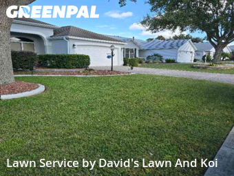 Grass Cutting in The Villages, 32162, Yard Care Services by David's Lawn And Koi, work completed in Dec , 2025