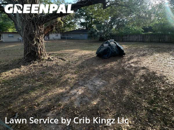 Lawn Mow nearby Tampa, FL, 