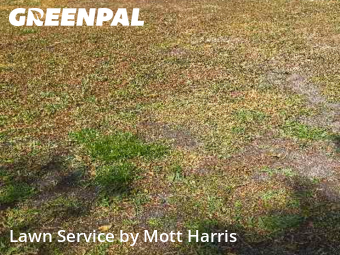 Grass Cutting nearby Sunrise, FL, 