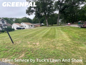 Property Maintenance in Romulus, 48174, Grass Cutting by Tuck’s Lawn And Snow, work completed in Nov , 2025