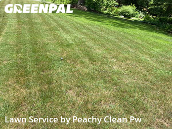 Lawn Cutting nearby Hiram, GA, 