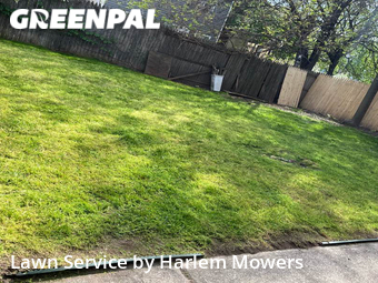 Backyard Landscaping In Paterson,7501,Landscaping Installation by Harlem Mowers, work completed in Nov , 2025