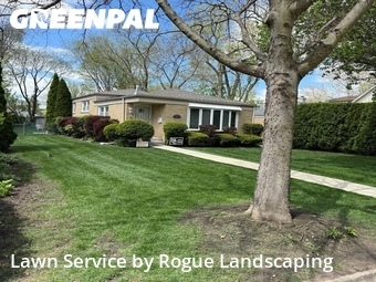 Lawn Carein Evanston,60201,Lawn Cut by Rogue Landscaping, work completed in Jun , 2026