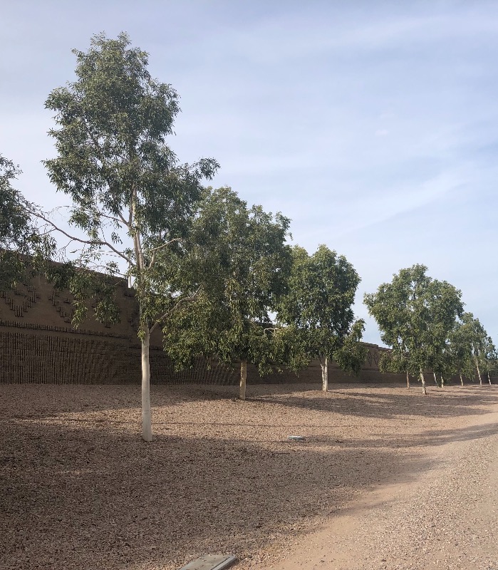 local-lawn-care-services-in-Queen Creek-AZ