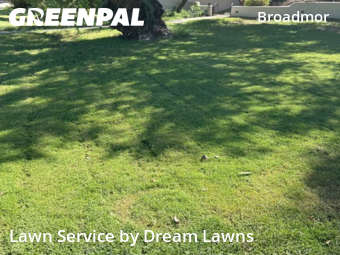 Lawn Work in Tempe, 85282, Grass Services by Dream Lawns, work completed in Oct , 2025