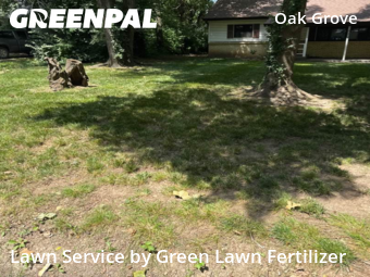 Lawn Care nearby Springfield, MO, 