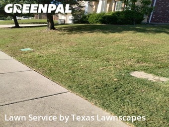 Grass Cutting nearby Sachse, TX, 