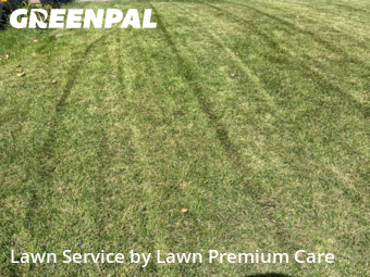 Yard Mowing nearby Plattsmouth, NE, 