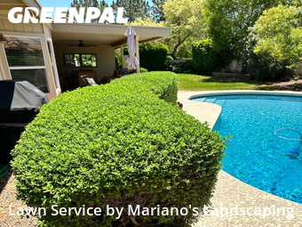 Lawn Cutting nearby Scottsdale, AZ, 