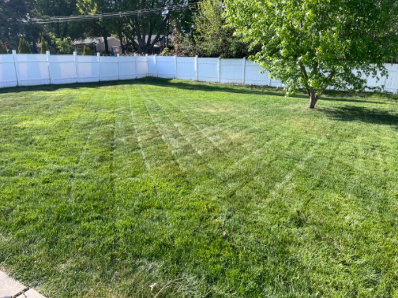 Bearded Lawn Care Lawn Care Services in Westland, MI